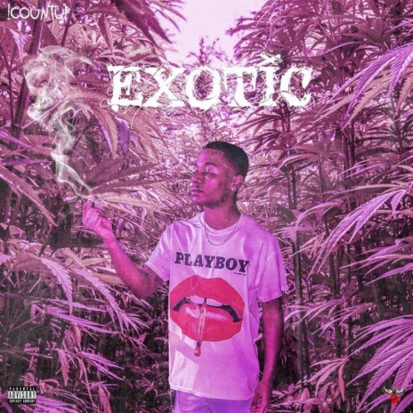 Me & Exotic | Boomplay Music