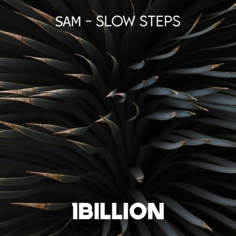 Slow Steps | Boomplay Music