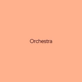 Orchestra