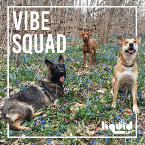 Vibe Squad | Boomplay Music