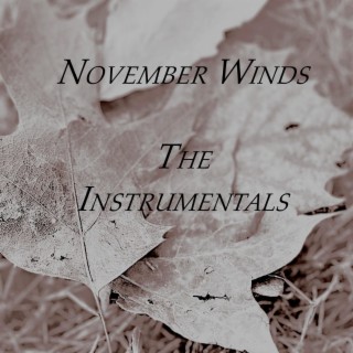 November Winds The Instrumentals (Instrumental)