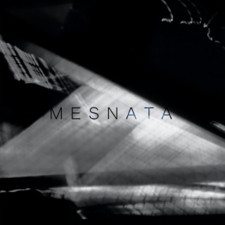 Mesnata