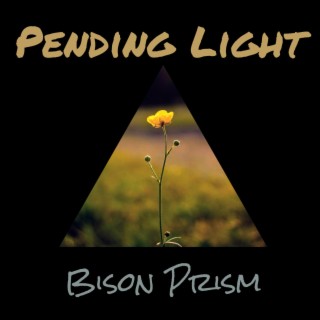 Bison Prism