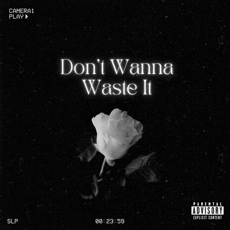 Don't Wanna Waste It | Boomplay Music