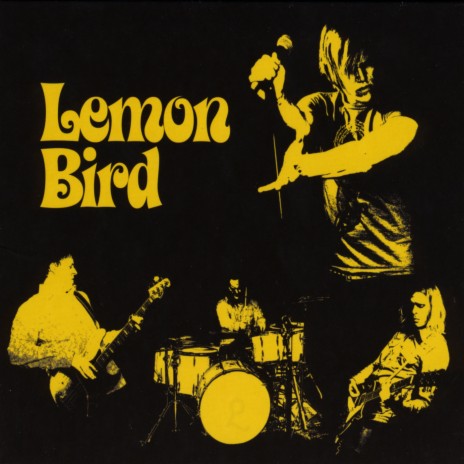 (All the Little) Lemon Birds | Boomplay Music