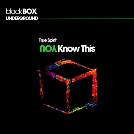 You Know This (Original Mix) | Boomplay Music