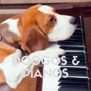 Doggos & Pianos