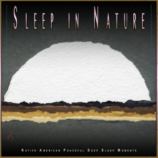 Sleep in Nature: Native American Peaceful Deep Sleep Moments