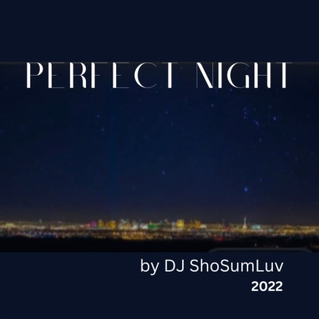 Perfect Night | Boomplay Music