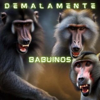 Babuinos