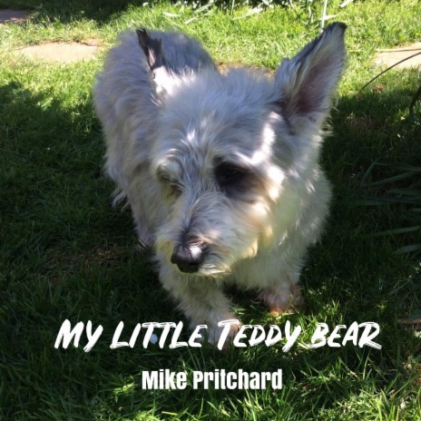 My little Teddy bear