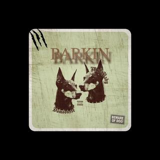 Barkin