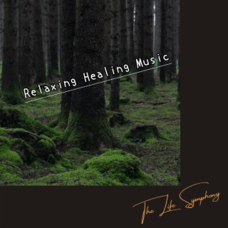 Relaxing Healing Music