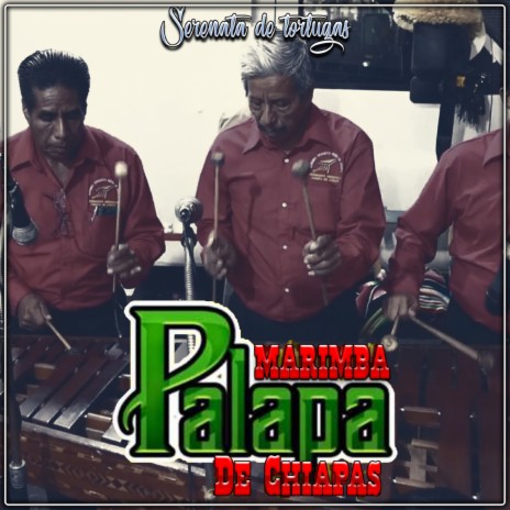 Pulga Mixqueña | Boomplay Music
