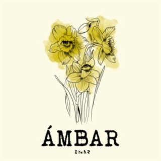 Ámbar