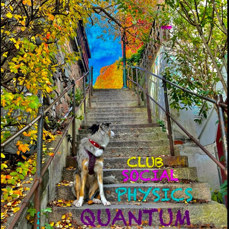 Quantum Physics Social Club | Boomplay Music