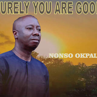 Surely you are good _ Nonso Okpala