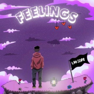 Feelings