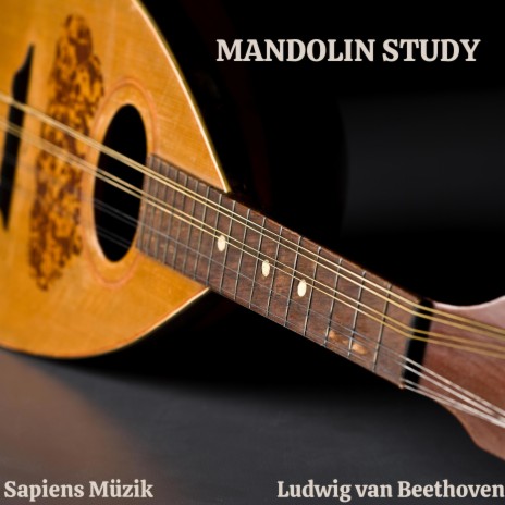 Six Variations Mandolin Study | Boomplay Music