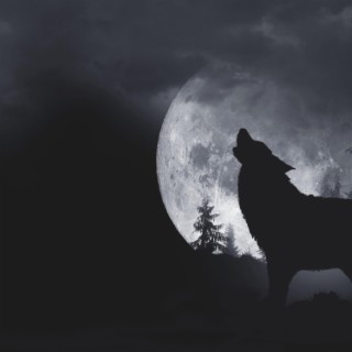 Bad Ass Wolf