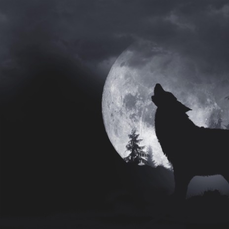 Bad Ass Wolf | Boomplay Music
