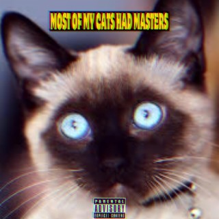 MOST OF MY CATS HAD MASTERS