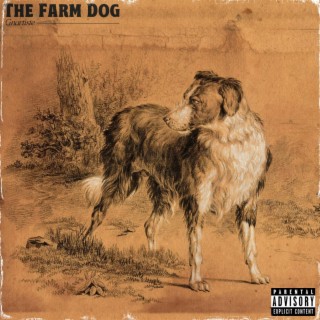 The Farm Dog