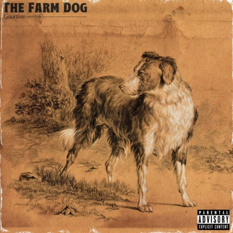 The Farm Dog | Boomplay Music