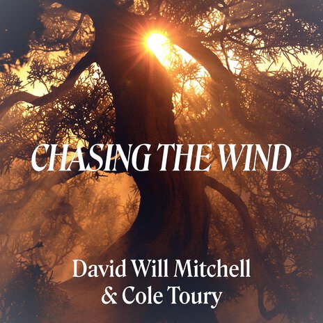 Chasing the Wind ft. Cole Toury | Boomplay Music