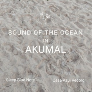 Sound Of The Ocean In Akumal