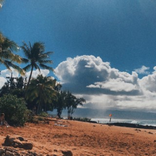 Oahu Nights