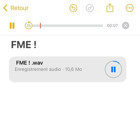 FME ! | Boomplay Music