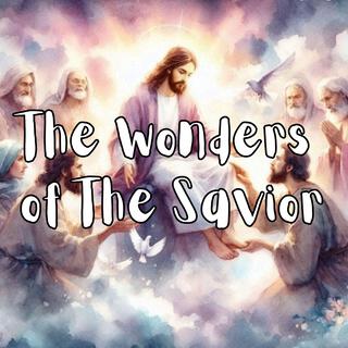 The Wonders of The Savior