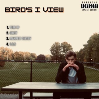Bird's I View