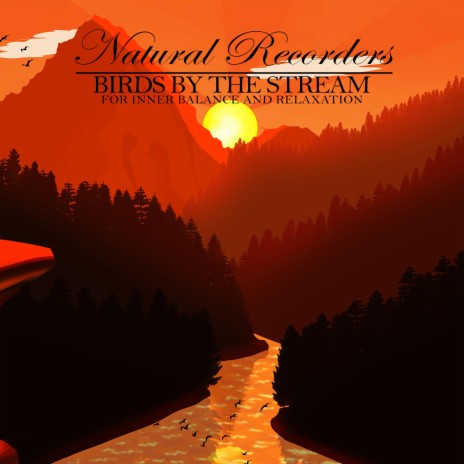 Birds by the Stream: White Noise and Bird | Boomplay Music