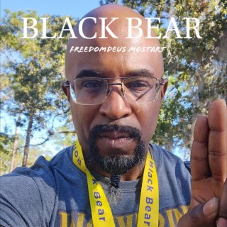 BLACK BEAR