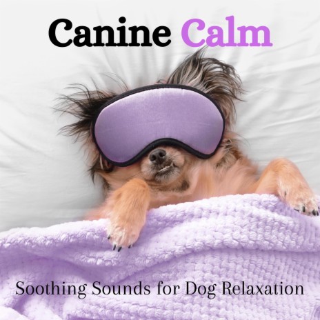 Puppy's Serenade: Canine Quietude ft. Relaxmydog