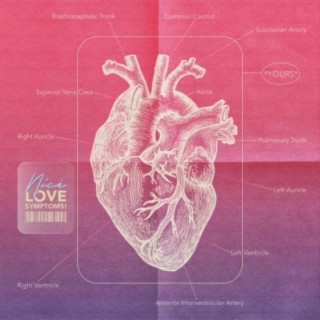Love Symptoms! lyrics | Boomplay Music