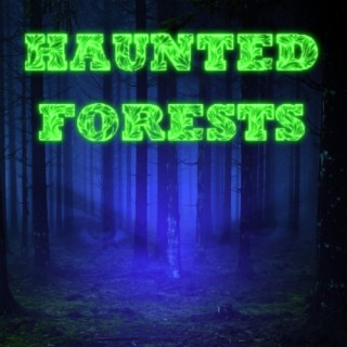 Episode 285: Haunted Forests