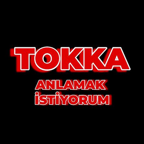 Anlamak İstiyorum | Boomplay Music