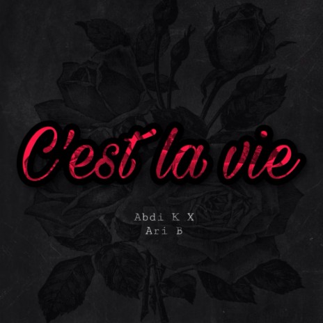 C'est La Vie ft. Ari B