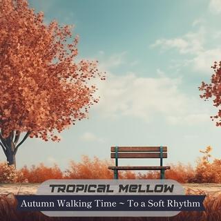 Autumn Walking Time ~ to a Soft Rhythm