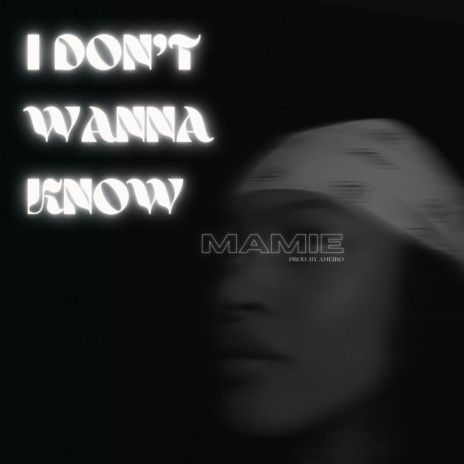 idontwannaknow ft. AMEIRO | Boomplay Music