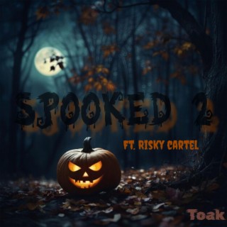 Spooked 2 ft. Risky Cartel lyrics | Boomplay Music