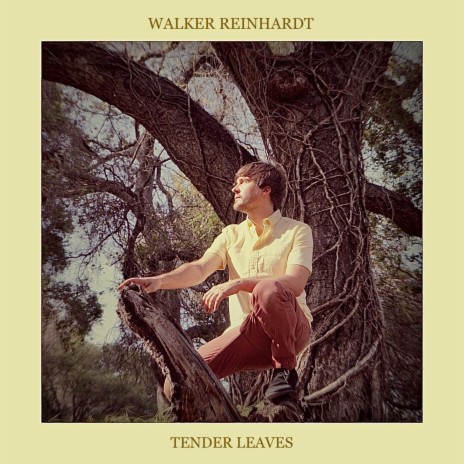 Tender Leaves | Boomplay Music