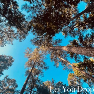 Let You Drop