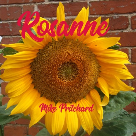 Rosanne | Boomplay Music