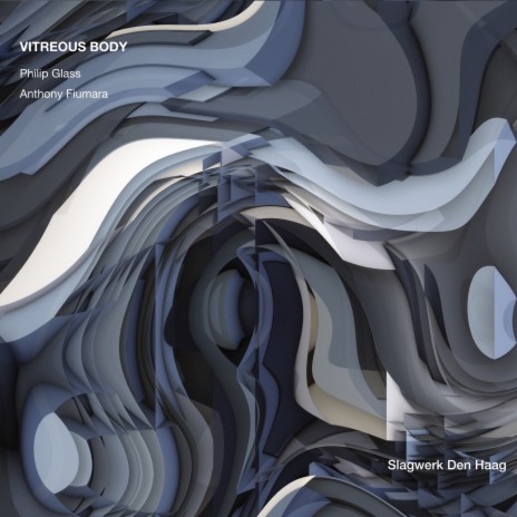 Vitreous Body ft. Slagwerk Den Haag & Anthony Fiumara | Boomplay Music