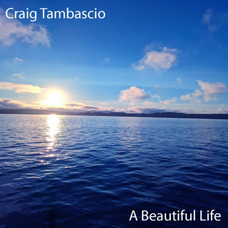 A Beautiful Life | Boomplay Music