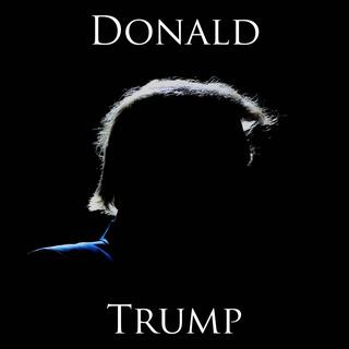 DONALD TRUMP lyrics | Boomplay Music